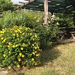 בית נופש I Camini - Outbuilding, Dependance - Swimming Pool - Garden - Bbq And Fireplaces - Soccer Field