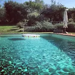 בית נופש I Camini - Outbuilding, Dependance - Swimming Pool - Garden - Bbq And Fireplaces - Soccer Field *