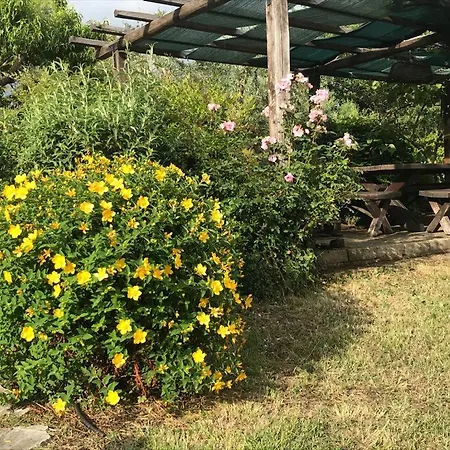 Holiday home I Camini: Rustic Retreat With Pool And Recreation