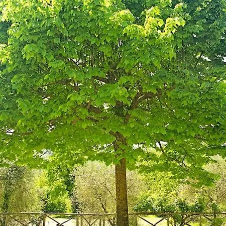 Holiday home I Camini: Rustic Retreat With Pool And Recreation *